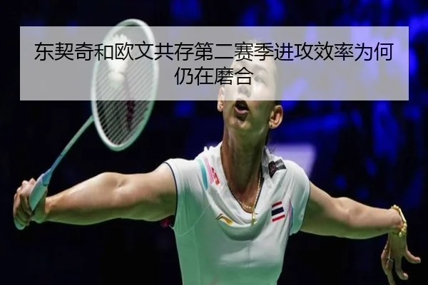 东契奇和欧文共存第二赛季进攻效率为何仍在磨合